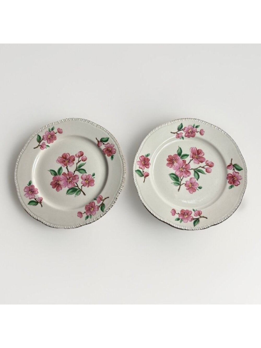 Vintage Homer Laughlin "Apple Blossom" 9 1/4 Inch Luncheon Plate Set Of 2